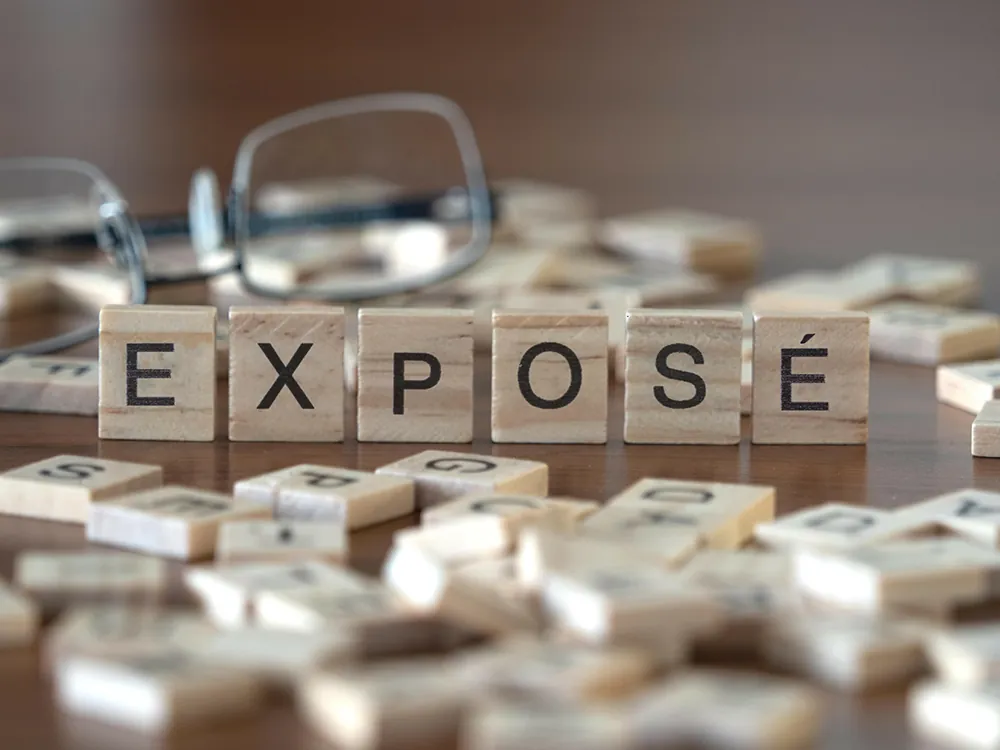 Exposé tolino media in Scrabblesteinen